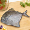 Pomfret